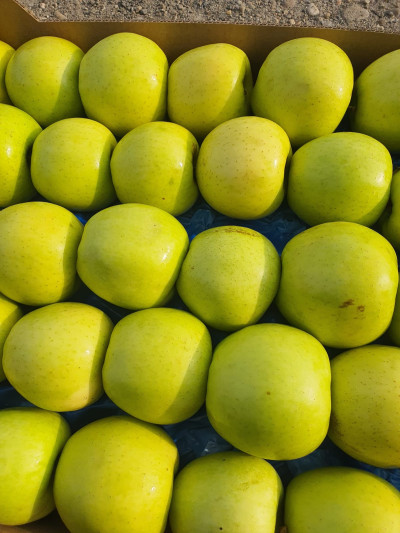 Lădiță mere Golden delicious