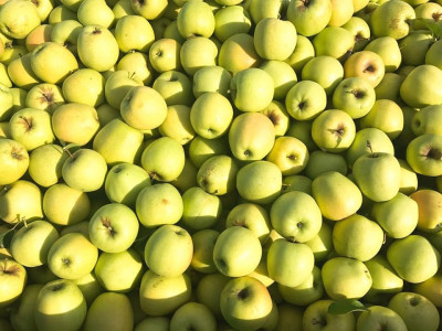 Lădiță mere Golden delicious